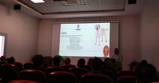 Denizli de pet shoplara eğitim desteği verdi Denizli Haberleri