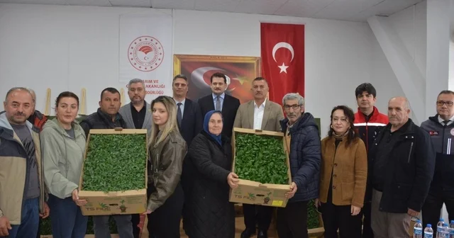 Sinop ta 135 bin fide toprakla buluşuyor Sinop Haberleri