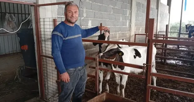 Adana haberleri Adanalı besiciden ilginç yöntem: İneklerin süt verimini artırmak için uyguluyor 22 Nisan 2026