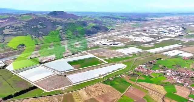 Modern tarımın yeni adresi Bafra: Karadeniz de başarı hikayesi yazılıyor Samsun Haberleri