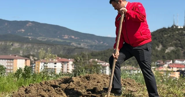 Başkan Çetinkaya bademin karşılığını emeğiyle ödedi Karabük Haberleri