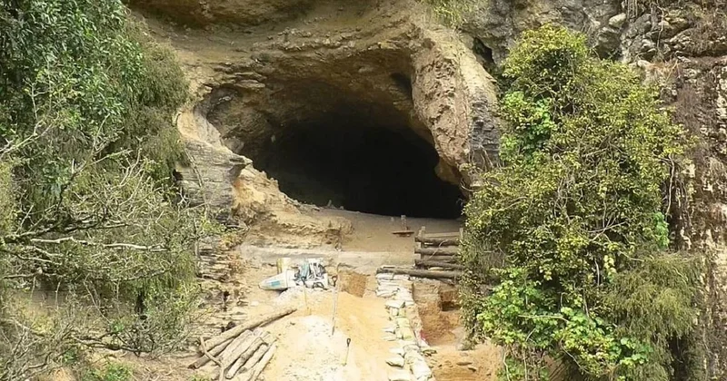 Köpeğin peşinden ormana koştu büyük hazineyi buldu: Mağaraya girişler kapatıldı Sözcü Gazetesi