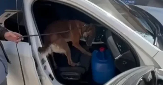 Gaziantep’te 10 kilo metamfetamin ele geçirildi VİDEO İZLE