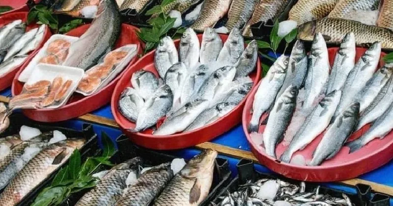 Balık yerken iki defa düşünün: Hepsinin içine sızdı Sözcü Gazetesi