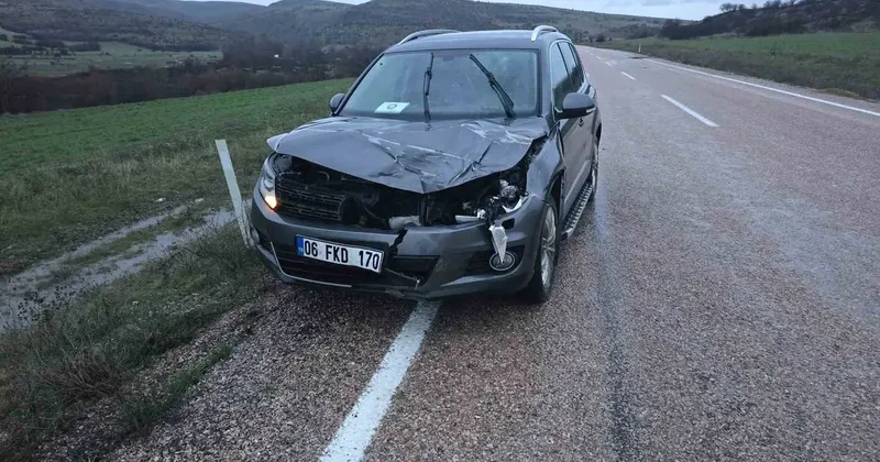 Ankara’da aracın çarptığı geyik telef oldu