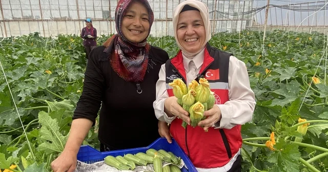 Kadın çiftçi hem üretiyor hem ihraç ediyor hem de pazarda satıyor Üretimden pazarlamaya her aşamasında alın teri var Antalya Haberleri