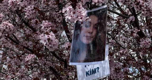 Tunceli de ağaçlara Gülistan Doku nun fotoğrafları asıldı VİDEO İZLE