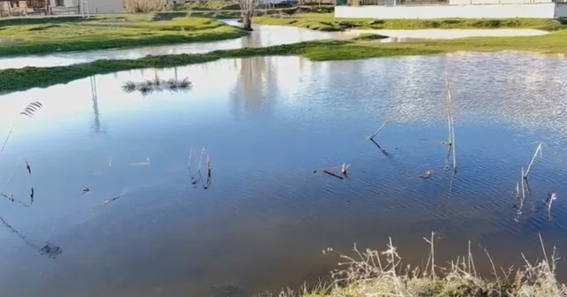 Ağrı da sağanak nedeniyle dereler taştı Ağrı Haberleri