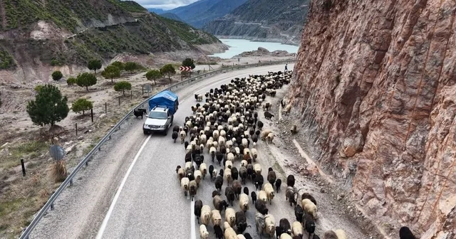 Yayla yolunda zorlu göçler başladı Artvin Haberleri