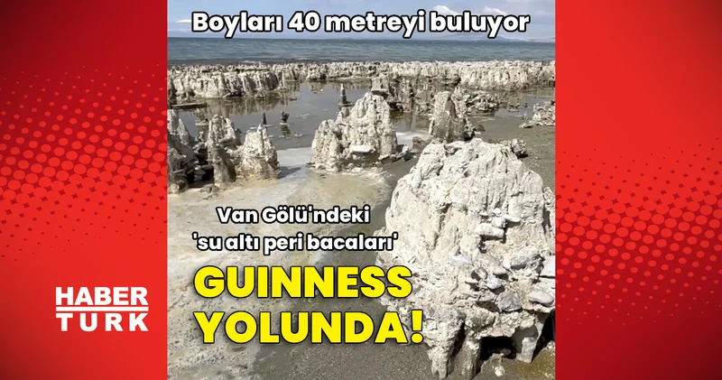Van Gölü ndeki mikrobiyalitler Guinness yolunda!