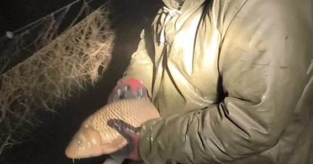 Eğirdir ve Kovada göllerinde kaçak avcılara yönelik denetimlerde 800 metre ağ ele geçirildi Isparta Haberleri