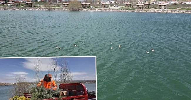 İlçeye ilk kez geldiler: Halk tarafından sevinçle karşılandı! Burada kalmaları için elimizden geleni yapacağız