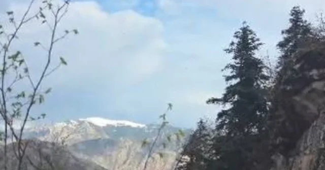 Artvin de yaylada düşerek yaralanan vatandaş helikopterle kurtarıldı Artvin Haberleri