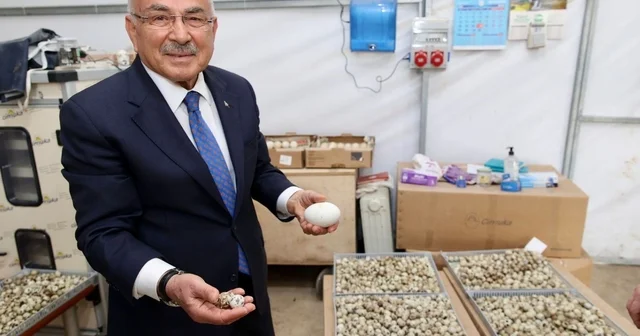 Başkan Güler: Ordumuza yeni bir sektör hazırlıyoruz Ordu Haberleri