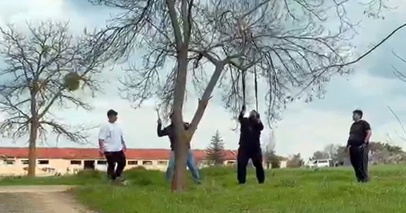 Eskişehir de Ağaç Dallarına Saldırı