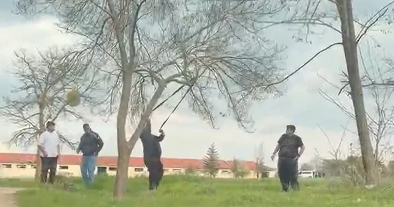 Eskişehir’de mangal uğruna ağaca zarar: Tepki çeken görüntüler Eskişehir Haberleri