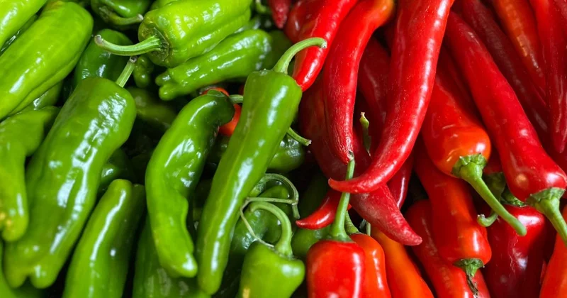 Biber ihracatının yüzde 74 ü Batı Akdeniz den