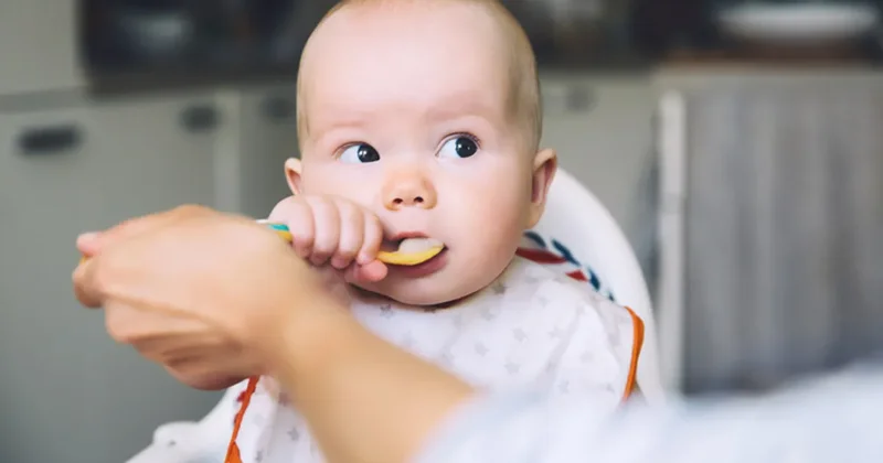 Bebeğiniz sofranıza bakıyorsa sebebi açlık değil!