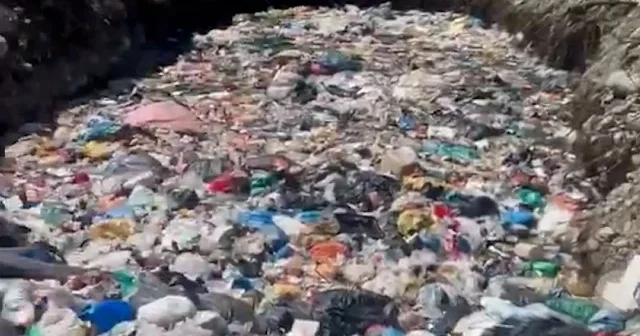 CHP’li Fındıklı Belediyesi nin doğa katliamına bakanlık cezayı kesti VİDEO İZLE