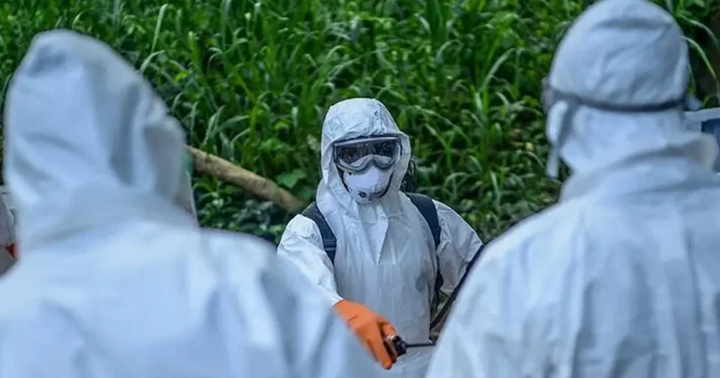 Küresel salgın riskine karşı DSÖ alarmda: Grip ile karışabilir