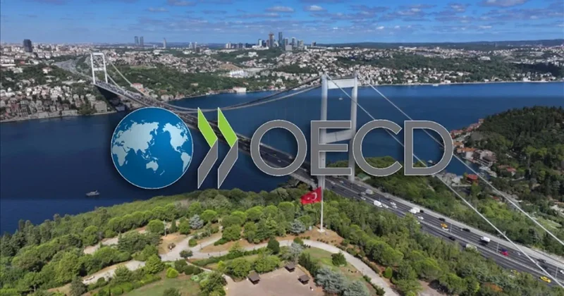 OECD İstanbul Merkezi kuruluyor! Karar Resmi Gazete de yayımlandı