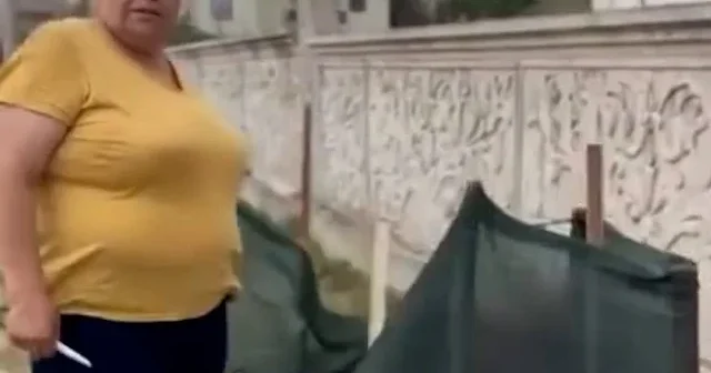 CHP li belediye mama lobisinin emrinde: Aydın’da köpekler rahat gezemiyor diye ağaçları söktüler VİDEO İZLE