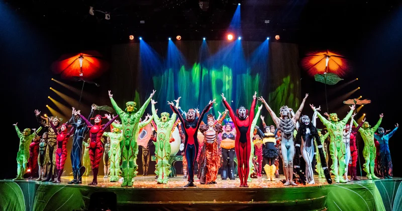 Cirque du Soleil, 10 yıl aradan sonra İstanbul da