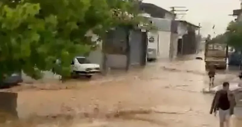 Aydın da sağanak ve fırtına; mahsur kalan küçükbaş hayvanlar kurtarıldı