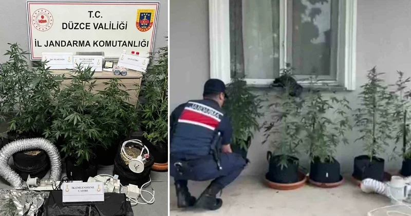 Düzce de uyuşturucu operasyonu: Evin bodrumundan özel düzenek çıktı Düzce Haberleri