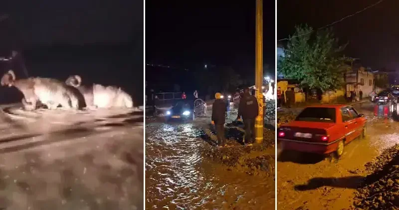 Hatay da sağanak; hayvan pazarını su bastı