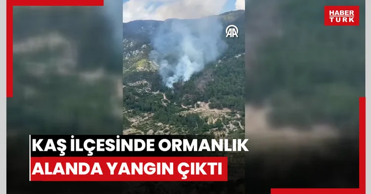 Kaş ilçesinde ormanlık alanda yangın çıktı