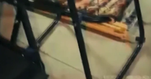 Ordu da kamp sandalyelerinin içinden uyuşturucu zulası çıktı VİDEO İZLE