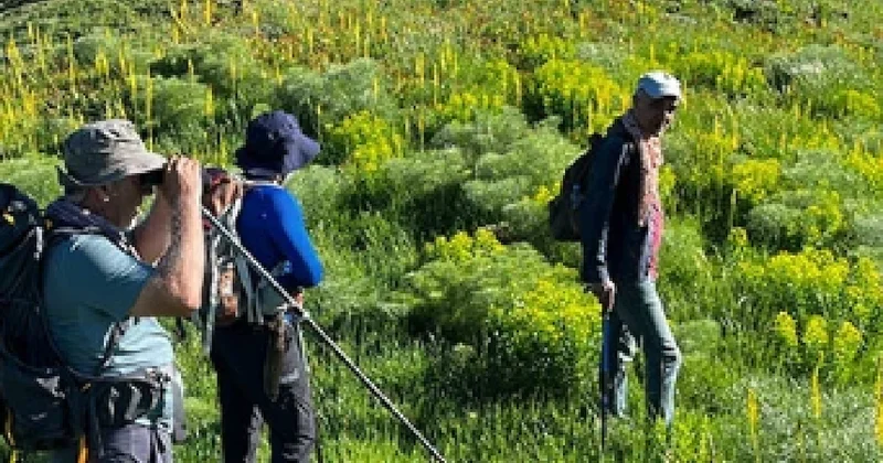 Sabah 03.30 da yola çıkıyorlar: Dağların hazinesinin kilosu 3 bin lira Sözcü Gazetesi