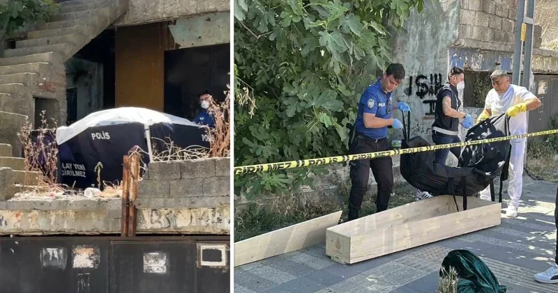 Kaybolan kedisini ararken ceset buldu İstanbul Haberleri