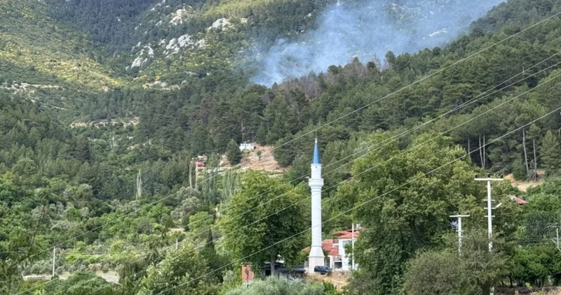 Antalya da orman yangını! Alevler yerleşim yerlerine yakın bölgede yükseldi Sözcü Gazetesi