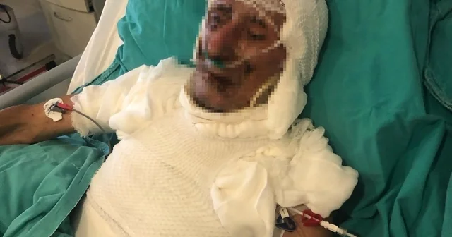 Kardeşini ahıra kilitleyip ateşe verdiği iddia edilen şahsa 15 yıl hapis cezası çarptırıldı Kastamonu Haberleri Habertürk Yerel Haberler