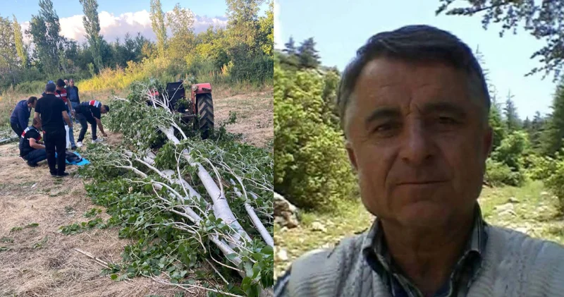 Son dakika: Isparta’da ağaç keserken altında kalan Veysel İnan hayatını kaybetti Son dakika haberleri