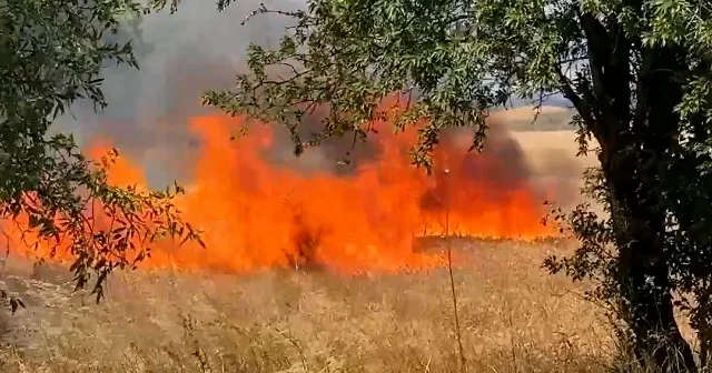 Edirne de buğday tarlasında başlayıp tarım arazilerine yayılan yangın söndürüldü VİDEO İZLE