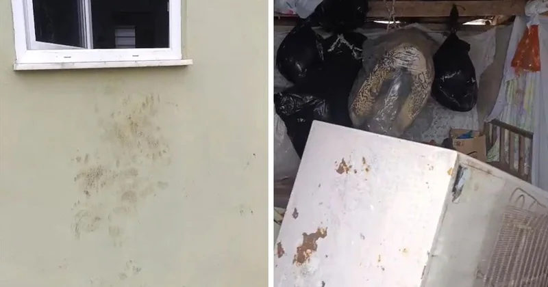 Rize de Ayı Paniği: 20 Eve Girdi