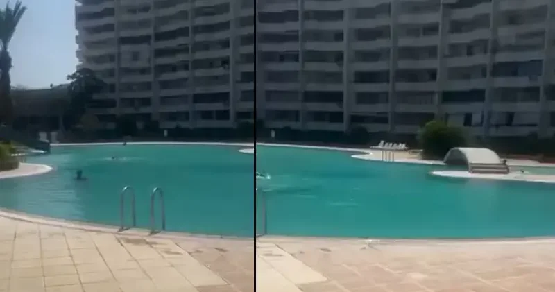 Mersin’de bir kadının haşema ile havuza alınmadığı iddiasına tutuklama