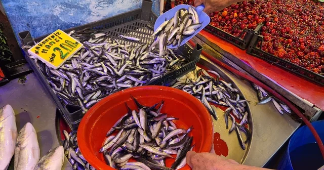Balıkçı esnafından Yazın balık yenmez algısına tepki Modern soğutma sistemleriyle balıkların tazeliği korunuyor Balıkçı Erkan Aslanbenzer; Kışın hangi tazelikteyse bugün de aynı Eskişehir Haberleri Habertürk Yerel Haberler