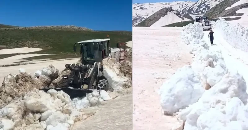 Yazın ortasında kar kalınlığı 3 metreyi buldu, yolda çalışma başlatıldı!