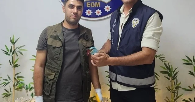 Polis ekiplerinin bulduğu yaralı gökkuzgun koruma altına alındı Adıyaman Haberleri Habertürk Yerel Haberler