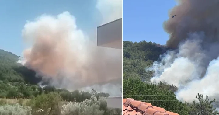 Son dakika... Muğla ve Antalya da orman yangını: Havadan ve karadan müdahale ediliyor