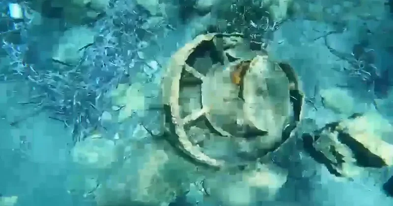 Yer: Muğla! Denizde yüzerken fark etti: Ekipler alarma geçti