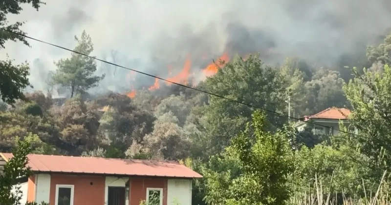 Muğla da orman yangını: Alevler evlere ulaştı