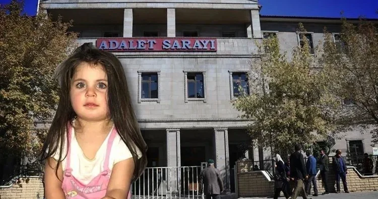 Leyla Aydemir cinayetinde amcanın planı gerekçeli kararda: Öldürüp cesedini soğukta saklamış