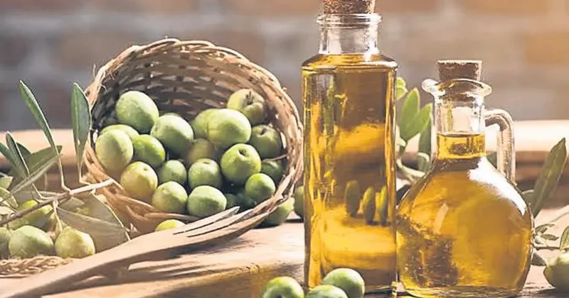 Sızma zeytinyağı beyni güçlendiriyor