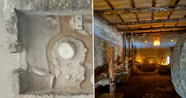2024 yılı kazılarında ortaya çıkmıştı Bakan Ersoy: Syedra daki Antik zeytinyağı işliği yeniden ayağa kaldırıldı