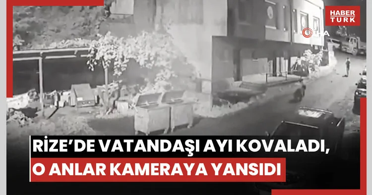 Rize’de vatandaşı ayı kovaladı, o anlar kameraya yansıdı